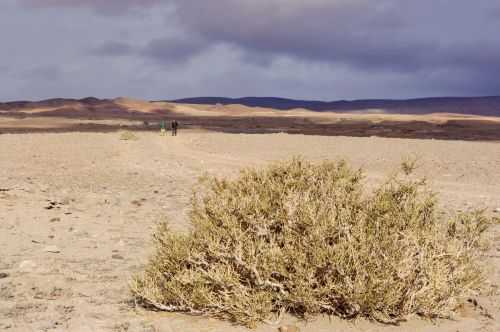 TREKKING NEL DESERTO DI ATACAMA 2015